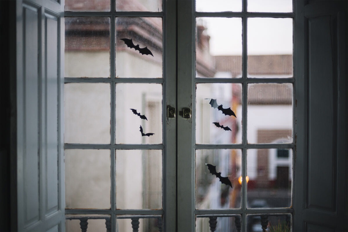 Réparation de fenêtres sur 51000 Reims, Marne: comment choisir ?